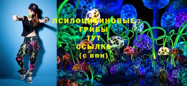 индика Арсеньев