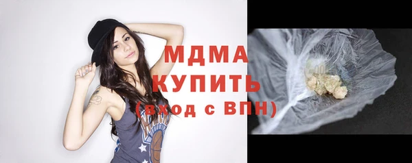 индика Арсеньев