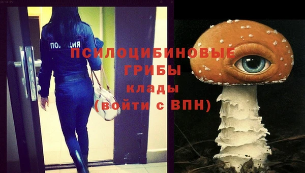 индика Арсеньев