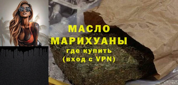 индика Арсеньев