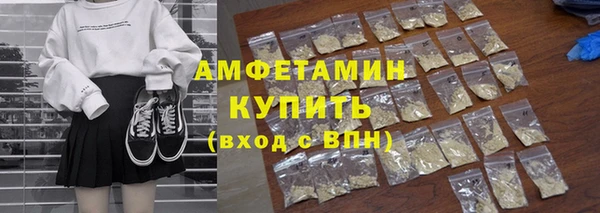 индика Арсеньев
