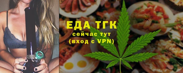 индика Арсеньев